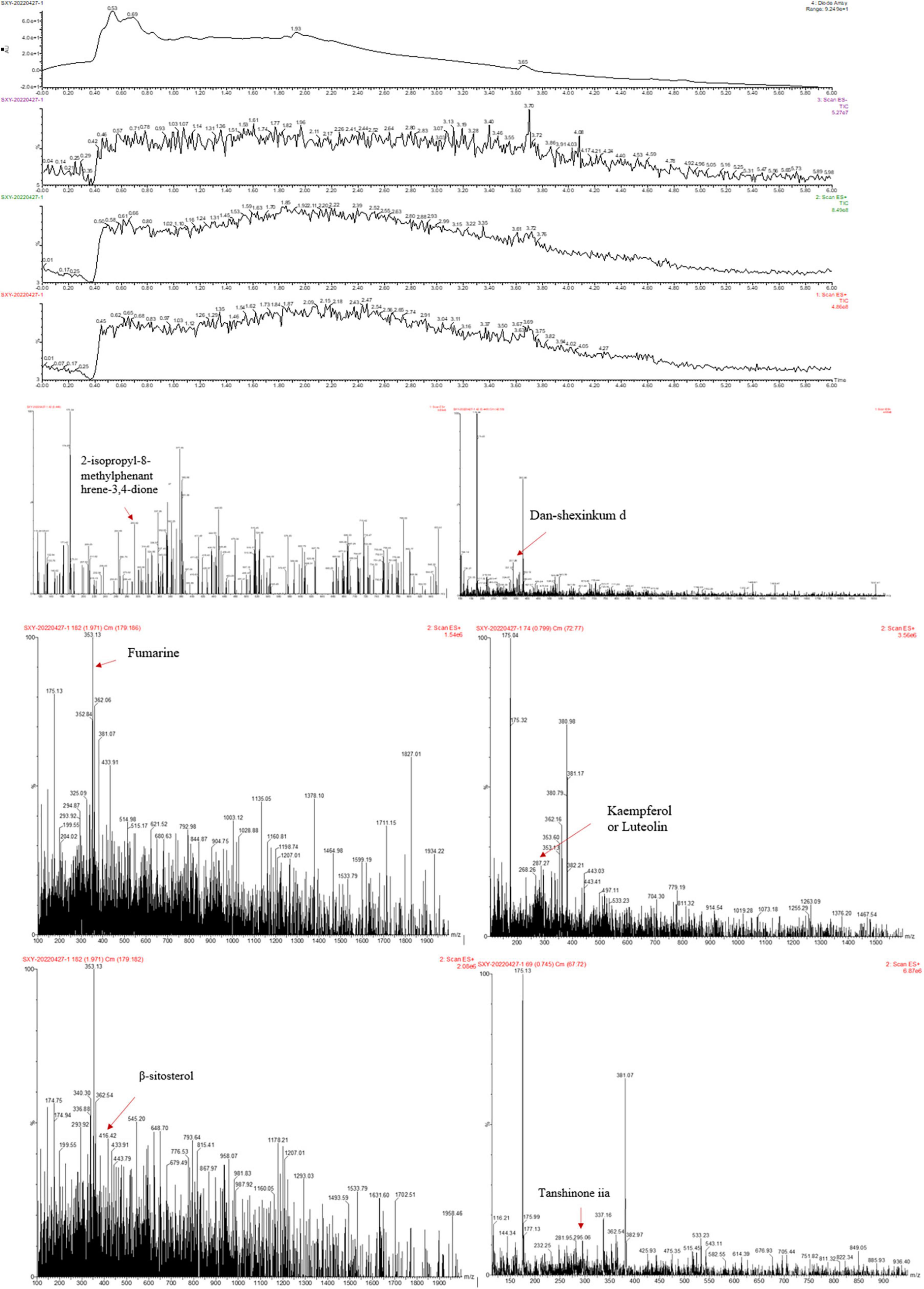 Modified Linggui Zhugan Decoction protects against ventricular remodeling through ameliorating mitochondrial damage in post-myocardial infarction rats